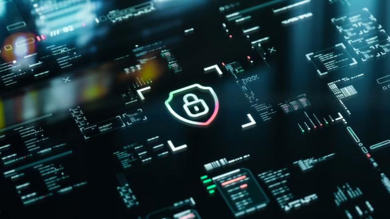 长白软件开发公司